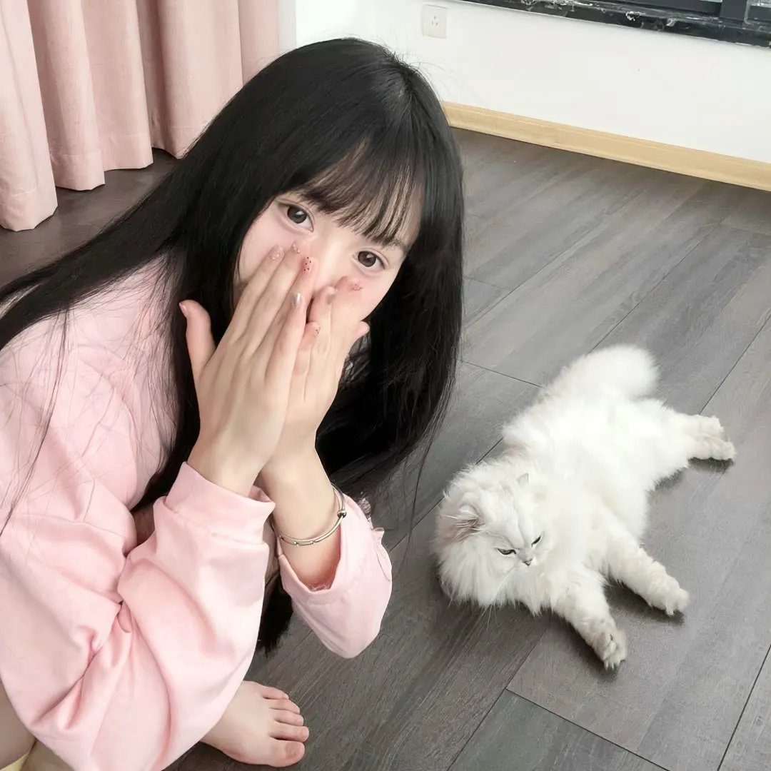 冈比